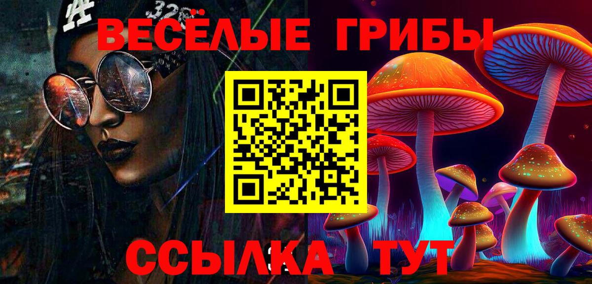 Галлюциногенные грибы мицелий  где купить   Георгиевск  Вход с VPN 