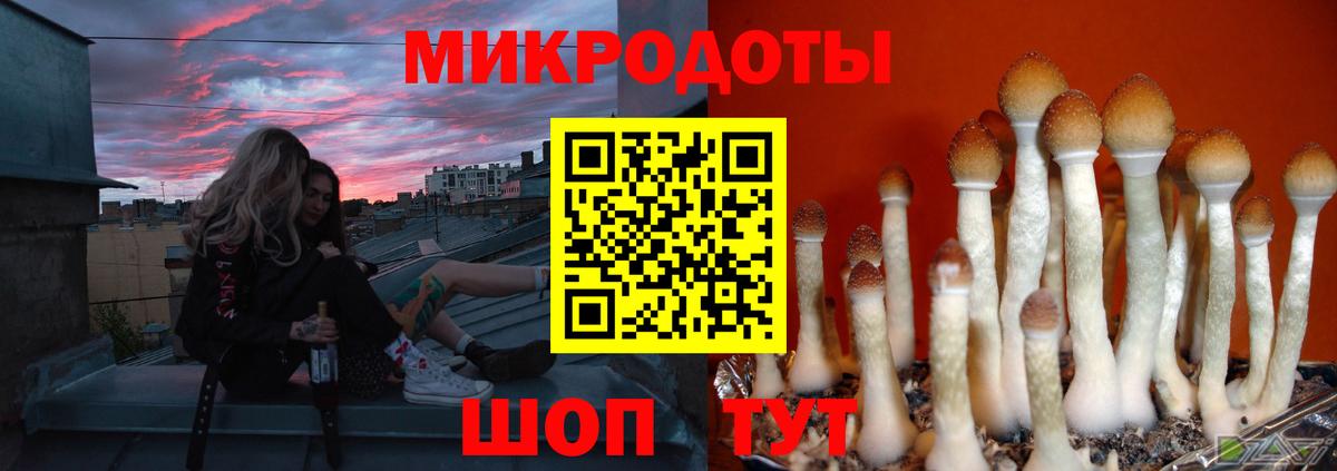 Галлюциногенные грибы мухоморы Георгиевск